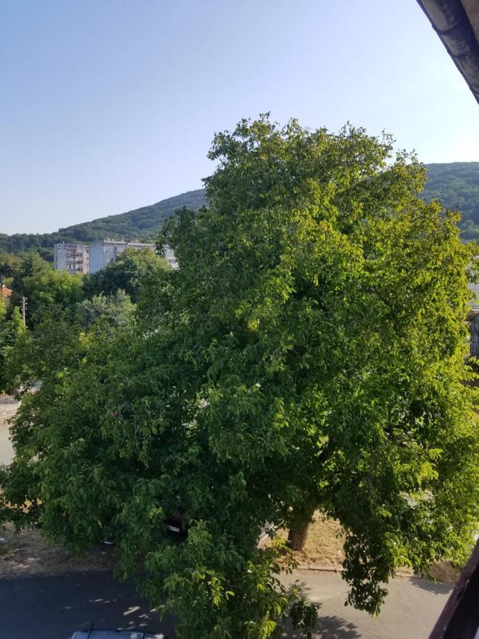Retro Apartment Malko Tŭrnovo 외부 사진